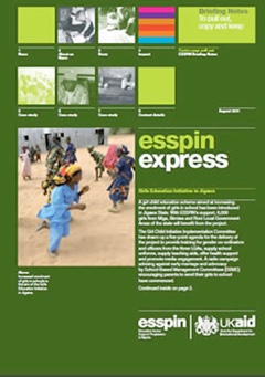 example-image